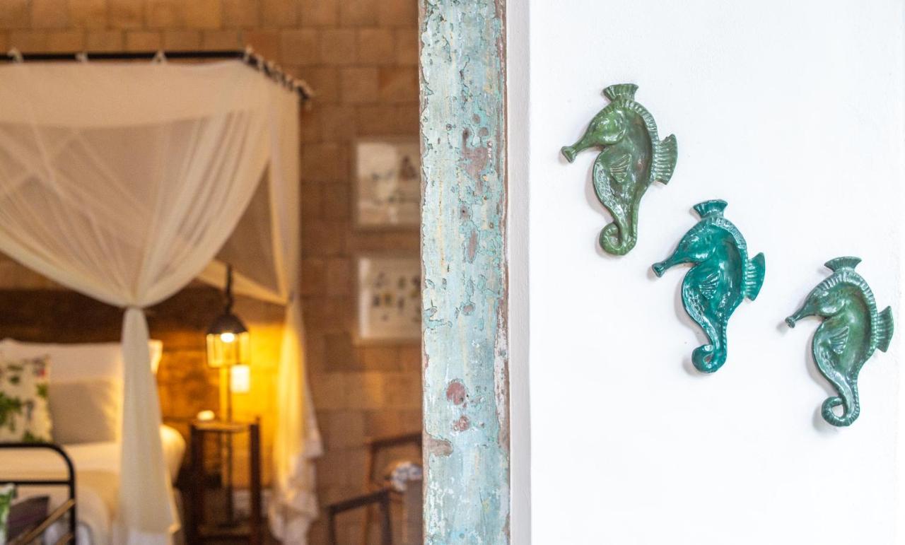 Hotel Boutique Perainda トランコーゾ エクステリア 写真